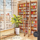 MOODTAPE - 7cm Book Store | Washi Tape | Release Paper