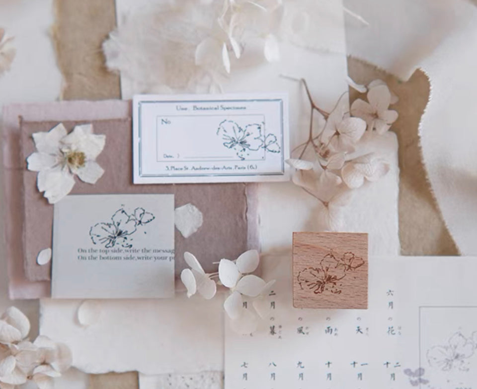 Jeenzaa Zoey Studio - Vol.9《Flower・Falling・Shadow》| Option A | Rubber Stamps