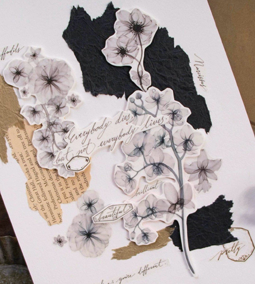 Loidesign - 5cm Fiery | Release Paper