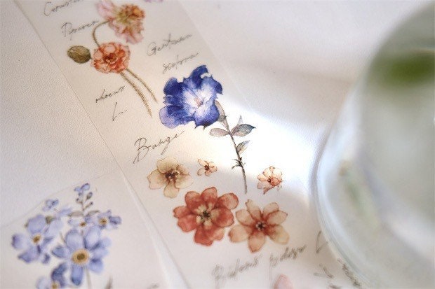 Freckles Tea Vol.1- 5cm Flower Illustration | Release Paper